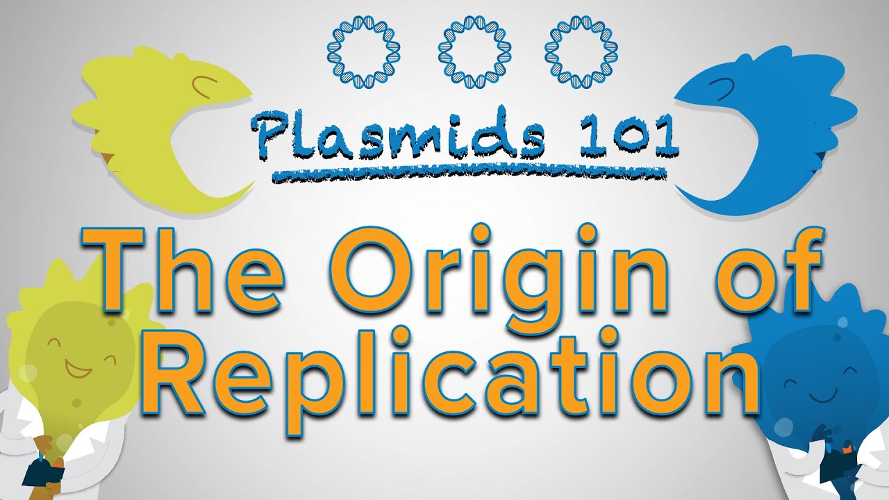 Origin Of Replication - Plasmids 101