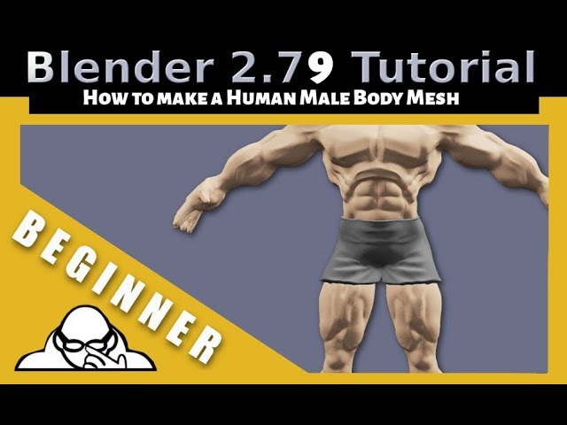 How To Make A Human Male Body Mesh In Blender 2.79 