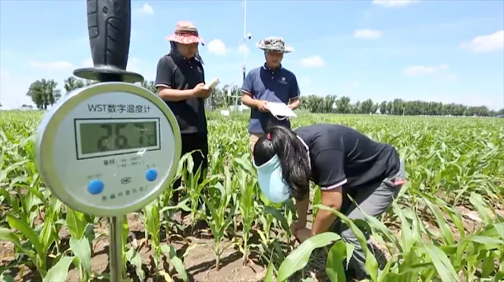 Smart technologies used in NE China's field management - DayDayNews