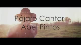 Video thumbnail of "Abel pintos - Pájaro Cantor (Letra)"