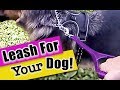 The Right Leash for your Dog