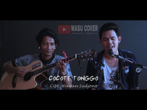 COCOTE TONGGO - Wawan Sudjono | Live Record