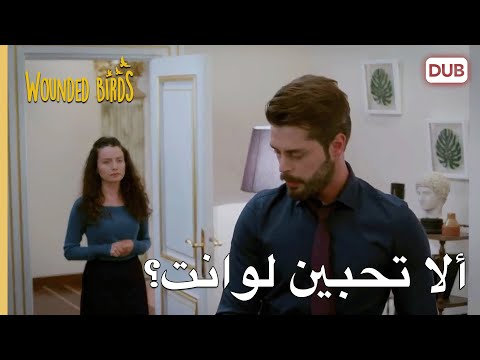 ألا تحبين لوانت الطيور المجروحة 47