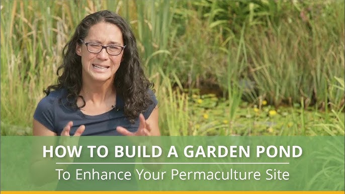 A Zero Irrigation Garden – Finch Frolic Garden Permaculture