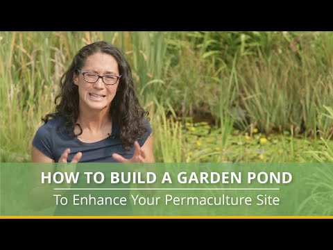 Video: Garden Swales - Suggerimenti per creare uno Swale nel tuo giardino