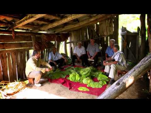 \"მრავალჟამიერი\" •  სოფ.გეგელიძეები(ქედა)