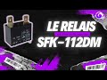 Le relais SFK 112DM expliqué en 95 secondes ⚡🔍