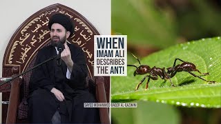 When Imam Ali Describes The Ant!  Sayed Mohammed Baqer AlQazwini