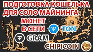 📌⚡️ Готовим кошелёк Ton для соло майнинга монет Gram, ChipiCoin и других в сети Ton