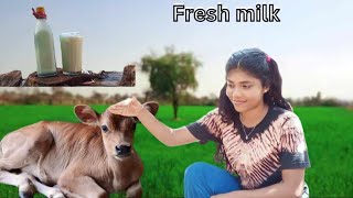 How to make Sri Lankan Fresh Milk ?සුන්දර දවසක් කිරි වීදුරුවකින් පටන් ගමු ☘️