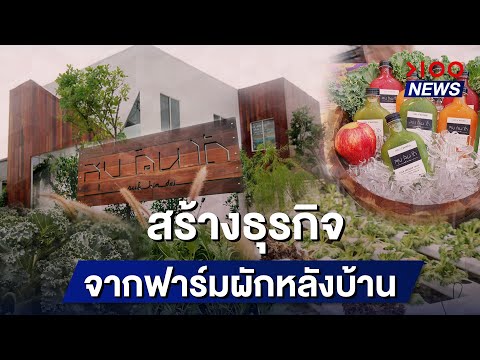 สร้างธุรกิจ จากฟาร์มผักหลังบ้าน  | 100NEWS