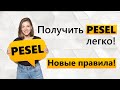 PESEL без прописки | Получаем номер PESEL в 2021 году! | Заполняем бланк заявления #PESEL #песель