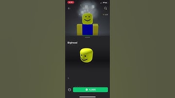 BIG HEAD WENT LIMITED