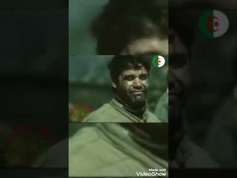 علي مت واقف شهداء الجزائر