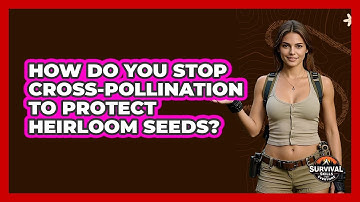 How Do You Stop Cross-pollination To Protect Heirloom Seeds? - Survival Skills for Everyone