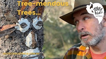Tree-mendous Trees Livestream 15 July
