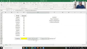 SUMIF Function | Data Validation | Remove Duplicates | Excel for Beginners | MBA