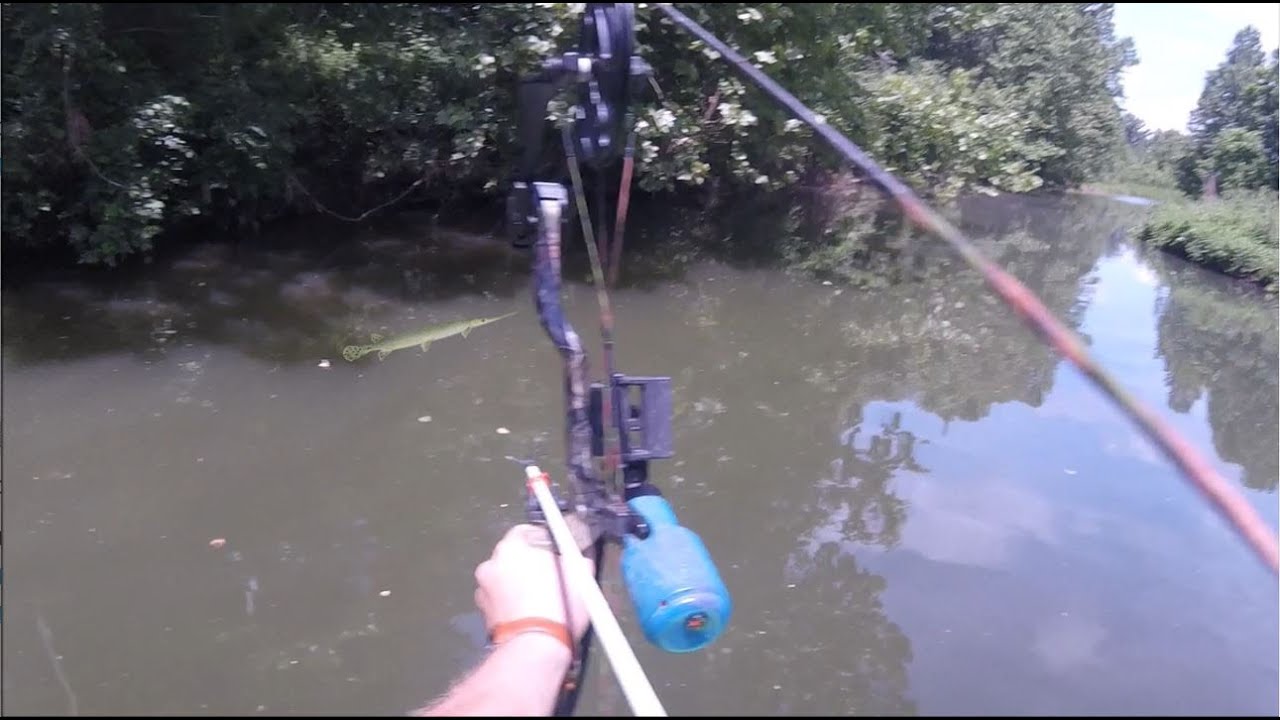 Bowfishing the Poop Lagoon