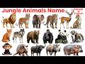 30 Jungle Animals Name in English & Bangla | Wild Animals for Kids | Learn Animals with Pictures