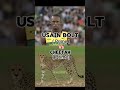 Usain Bolt Prime Vs Cheetah Prime Edit Viral Shorts RWZOUFX 
