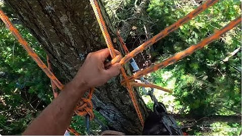 Old School Tree man ropes and rigging.