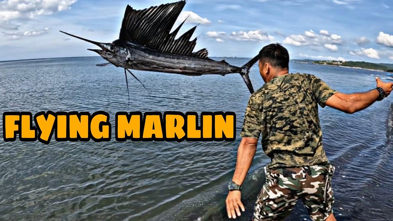 JACKPOT BLUE MARLIN