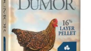 Dumor Chicken Feed , We Got Eggs
