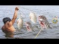 Hombre Pescador pesca y captura Grandes #TILAPIAS de laguna