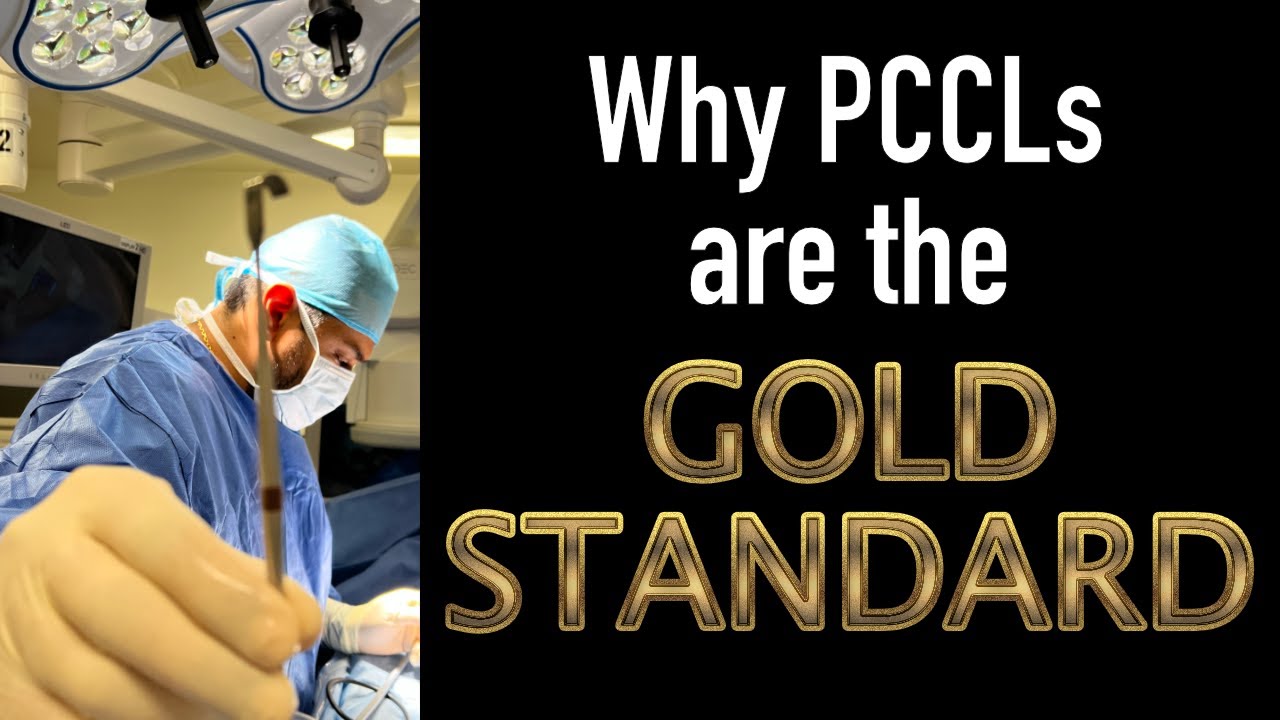 Bladder stone removal in pets