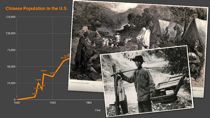 Why America Needed Cheap Labor in the 1800s