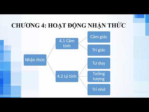TƯ DUY
