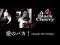 Acid Black Cherry「愛のバカ!(Acoustic Live Version.)」