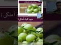 گیاه آملکی  درمان امراض خون و کبدی