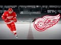 Pavel datsyuk highlights