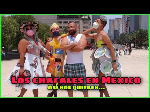 Fuimos a buscar chacales vestidas con basura ft @ChanonaChimal | Damian Cervantes