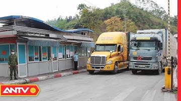 Từ Ngày 16-2, Lạng Sơn Tạm Dừng Tiếp Nhận Xe Chở Hoa Quả Xuất Khẩu | Tin tức 24h | ANTV