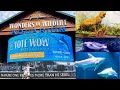 Wonders of Wildlife Museum & Aquarium Tour 2021 | Bass Pro Shop in Springfield, Missouri