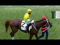 JAMAICA RACING: Purosangue Off The Mark In Sat, May 26, 2026, 2nd