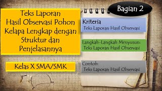 Contoh Teks laporan Hasil Observasi Pohon Kelapa Lengkap dengan Strukturnya ~ Bahasa Indonesia