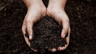 Compost PSA 2024