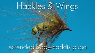 Extended Body Caddis Pupa | Hackles & Wings
