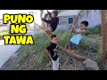 PUNO NG TAWA.