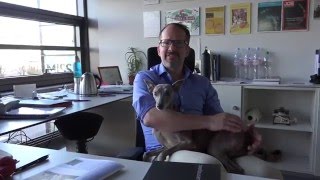 Biscuit, The Group Leader