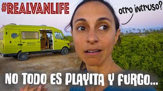 T4FV20# TODOS SANTOS: Yo sólo pasaba por aquí Esto también es REALVANLIFE