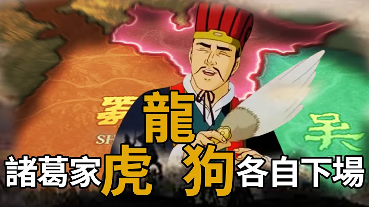 諸葛亮三兄弟為何要分開為三國效力？兩人被族滅一人險些絕後，竟都與司馬家有關 - 天天要聞