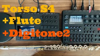 Torso S-4 + Flute + Digitone 2 | Ambient Techno from scratch