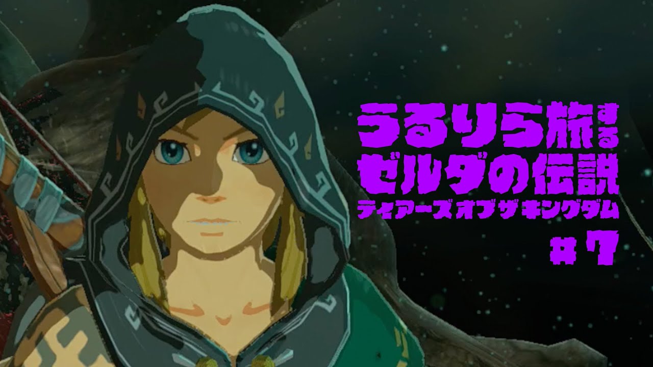 断捨離)ゼルダの伝説 ブレスオブザワイルド ティアーズオブザキングダム ゼルダ 断捨離)ゼルダの伝説 ブレスオブザワイルド ティアーズオブザ