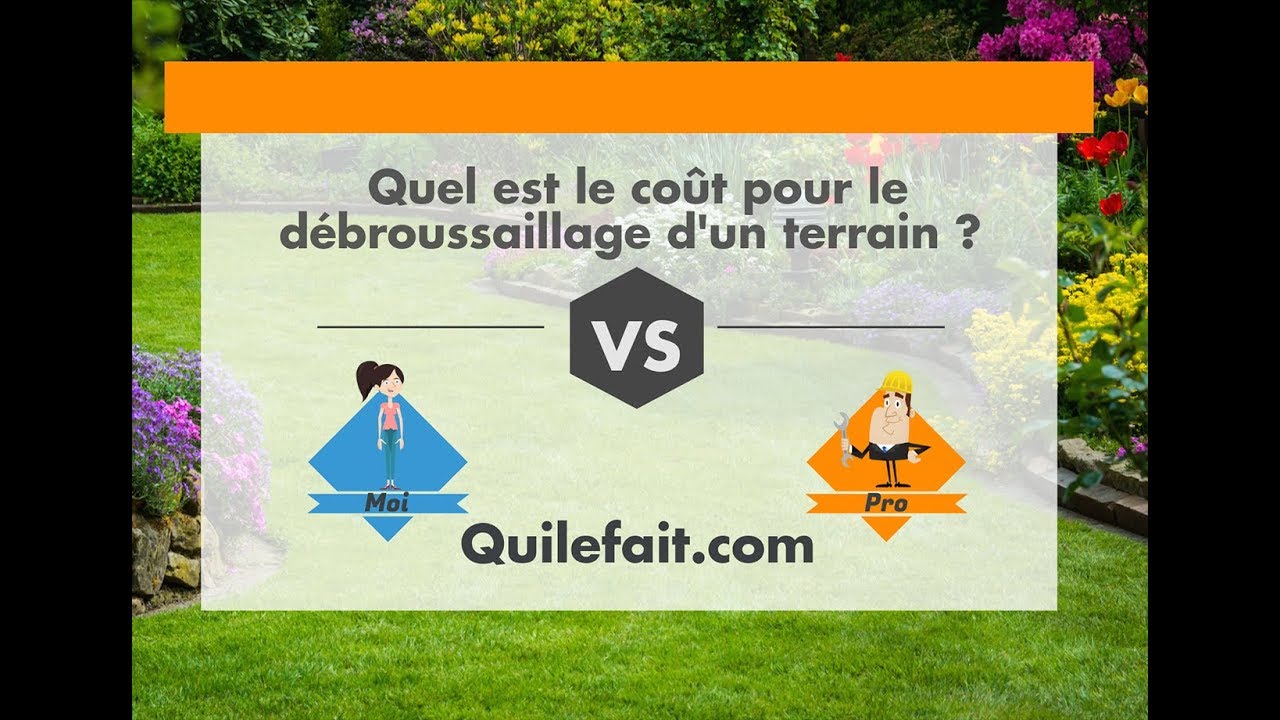 Prix d'un débroussaillage : Par moi ou par un pro ?