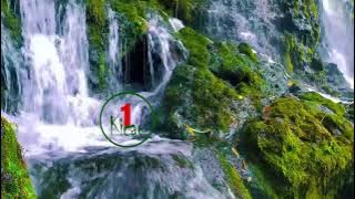 Buktikan Sendiri Dalam 1 Minggu Menggunakan Terapi ini Kecial Kuning Anda Gacor