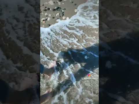 نجوى كرم شو كنت تقلي كرمالك عائش أنا